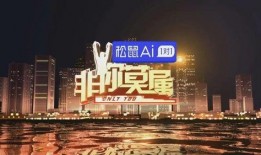 天津非你莫属在线观看,职场精英现场直播揭秘