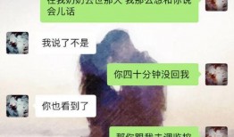 金瀚女友爆料视频大全,揭秘明星恋情背后的真相