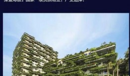 碧桂园房地产最新爆料