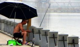 裸钓在线观看,揭秘自然垂钓的极致体验