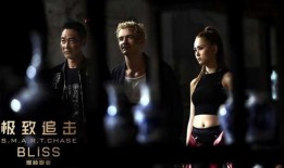 极致追击在线观看,惊险刺激的跨国大追捕