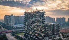 碧桂园房地产最新爆料