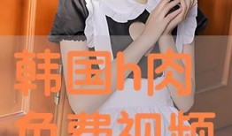 视频在线观看h,轻松掌握观看技巧