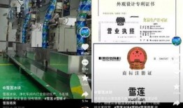 雪糕爆料视频在线观看,揭秘幕后真相，带你走进事件核心