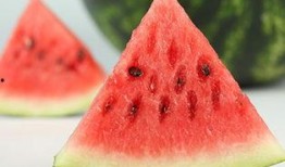 微信免费吃瓜最新