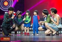 蘑菇兄弟爆料视频大全下载,揭秘娱乐圈幕后故事