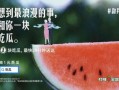 网红青蛙吃瓜文案,揭秘娱乐圈幕后真相