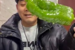 网红刘二萌吃瓜事件,揭秘网红圈内的真实风波