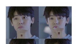 寒武纪在线观看17集,揭秘神秘生物的进化之谜