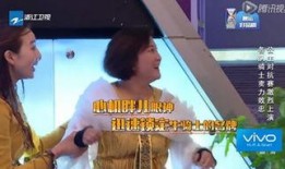 狗仔爆料陈赫视频播放下载,陈赫视频播放下载，揭秘明星幕后生活