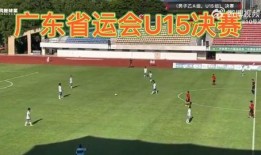 博主爆料假球视频大全,博主爆料假球视频大全曝光