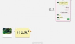 在线陈丽视频在线观看,在线观看，感受魅力四溢