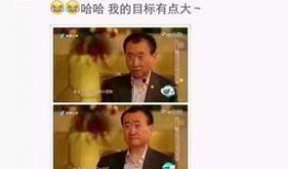 三宝爸爆料视频完整版,揭秘育儿背后的真实故事