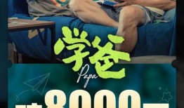 三宝爸爆料视频完整版,揭秘育儿背后的真实故事