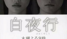 日剧白夜行在线观看,探寻黑暗中的光明与救赎