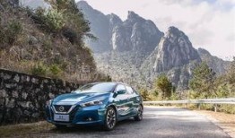 蓝鸟爆料博主视频大全下载,揭秘热门话题背后的真相