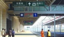 东莞火车站爆料视频最新,现场实况直击，揭秘神秘事件！