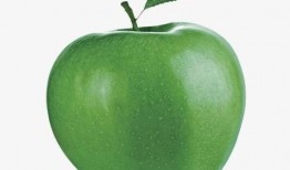 女子高在线观看,揭秘校园青春的甜蜜与挑战