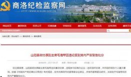 中华网陕西爆料最新消息,中华网披露惊人内幕