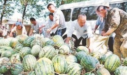 砀山县吃瓜最新事件爆料,揭秘背后惊人真相