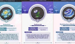 3.0须弥最新爆料图,最新爆料图解析，探索神秘新世界