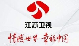 江苏卫视爆料哈尔滨新闻,揭秘冰城背后故事