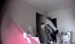 张家界爆料视频最新消息,神秘奇观惊现，揭秘自然奇观背后的秘密