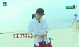 团山最新爆料新闻,揭秘神秘事件背后的惊人真相