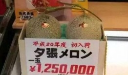 吃瓜娱乐圈纯净水,揭秘“吃瓜”与“纯净水”背后的故事