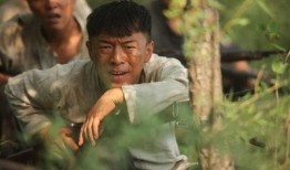 民兵葛二蛋全集在线观看,抗战传奇，热血青春的烽火岁月