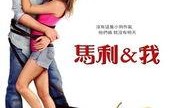 马利和我在线观看,宠物与主人间的真挚情感