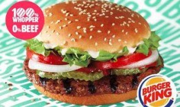 汉堡王肉饼爆料视频大全,视频大全带你探秘真实制作过程