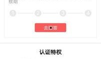 爆料视频在头条发有收益,爆款爆料视频背后的秘密解析