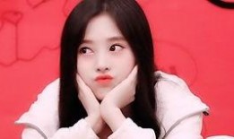 小鞠爆料解说大全最新,揭秘娱乐圈幕后故事与精彩瞬间