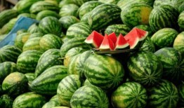 在线吃瓜网红,揭秘娱乐圈幕后故事