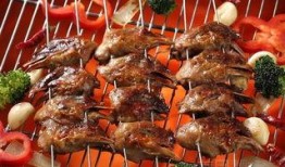 北苑烧烤爆料事件视频,真相与争议交织