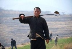 老农民 在线观看,探寻农村变迁与人物命运的故事