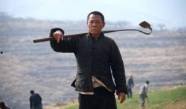 老农民 在线观看,探寻农村变迁与人物命运的故事