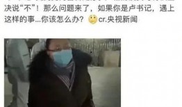 卢书记视频爆料人是谁呀,揭秘卢书记视频爆料者身份之谜