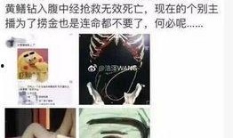 琪琪视频在线观看2,精彩内容一网打尽