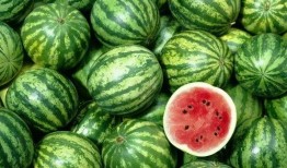 网红八酱吃瓜,揭秘网红圈背后的秘密与真相