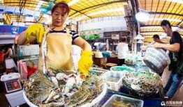 海鲜工厂爆料怎么做视频,揭秘视频制作背后的秘密