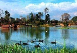 花溪花果园爆料案件最新,最新进展揭秘，疑云重重引关注