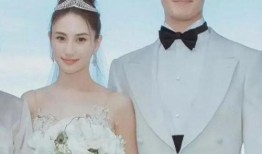 媒体爆料何超莲视频播放,网友热议